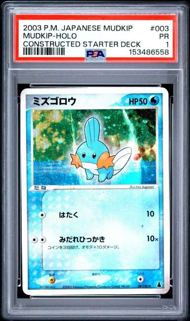 Mudkip