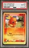 Torchic