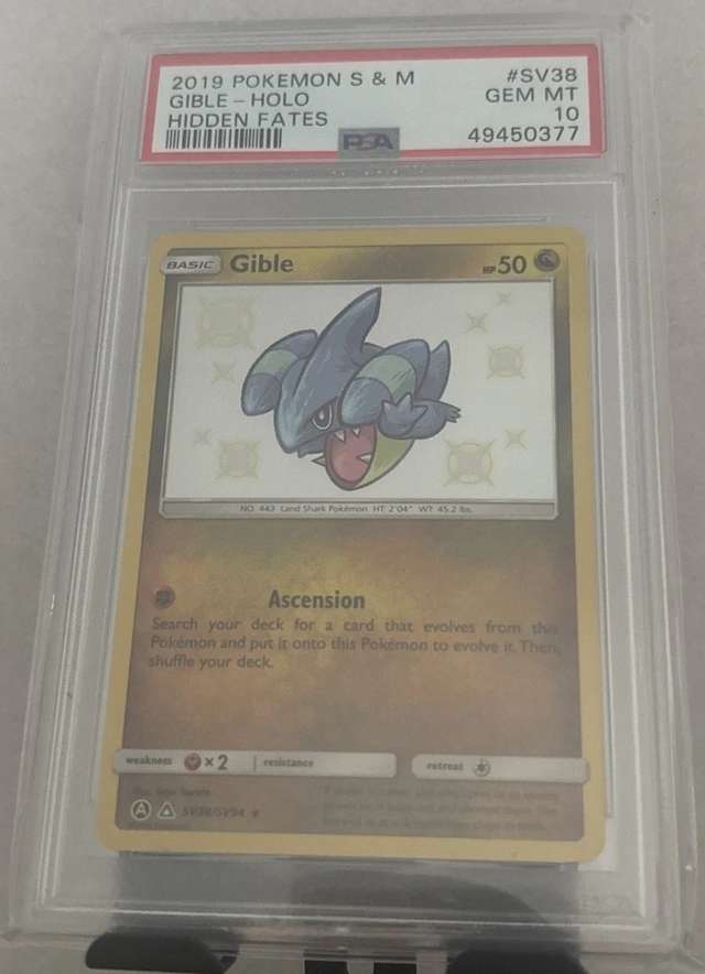 Gible