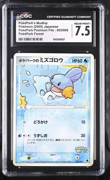 PokéPark's Mudkip