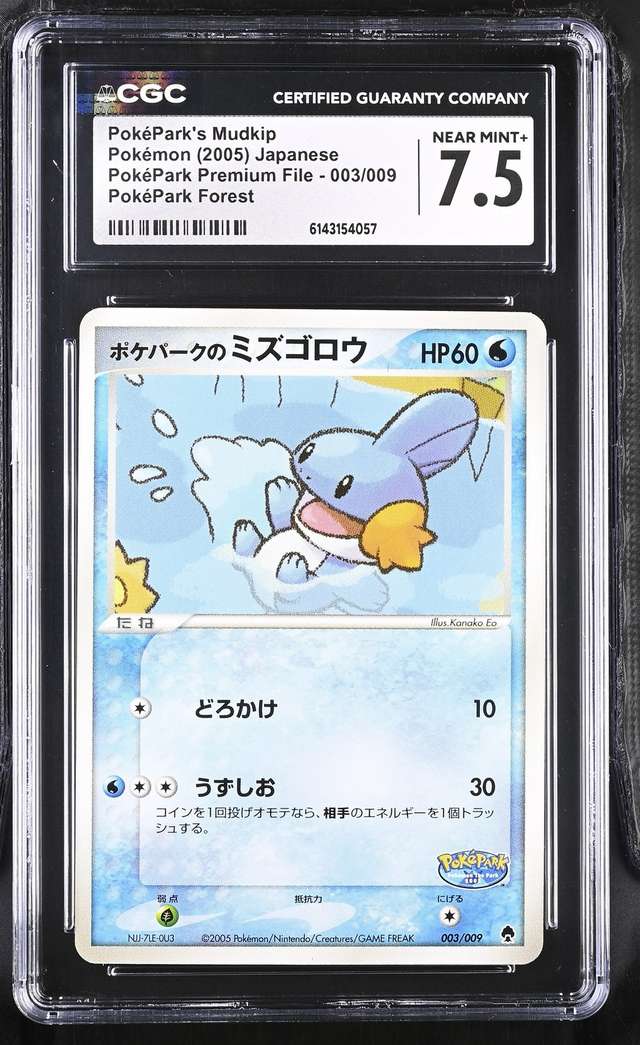 PokéPark's Mudkip