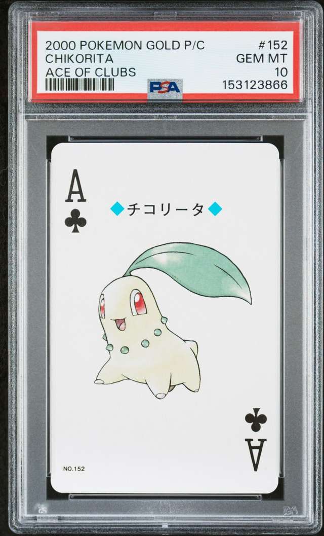 Chikorita