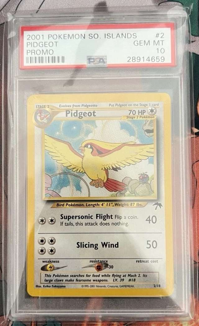 Pidgeot