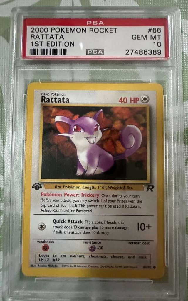 Rattata