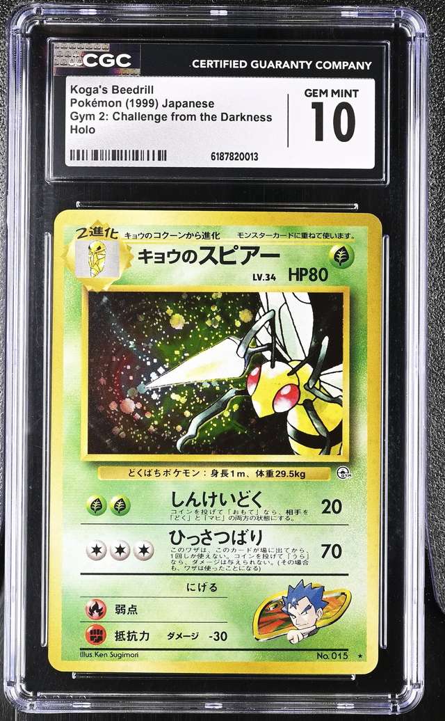 Koga's Beedrill