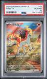 Ponyta