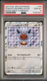 Poncho-Wearing Eevee