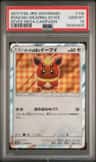 Poncho-Wearing Eevee