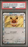 Poncho-Wearing Eevee