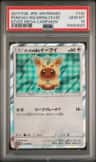 Poncho-Wearing Eevee