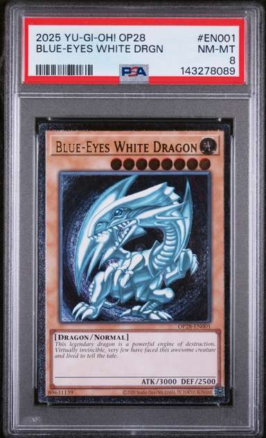 BLUE-EYES WHITE DRGN