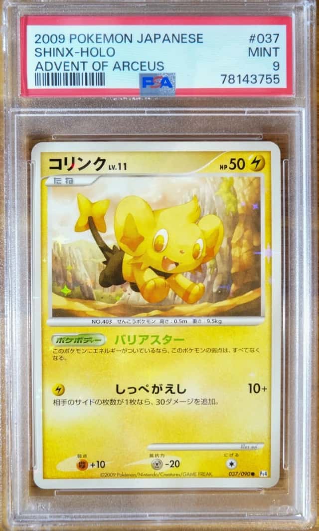 Shinx