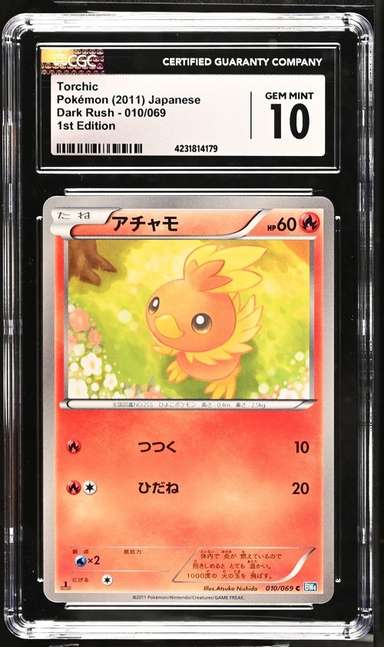 Torchic