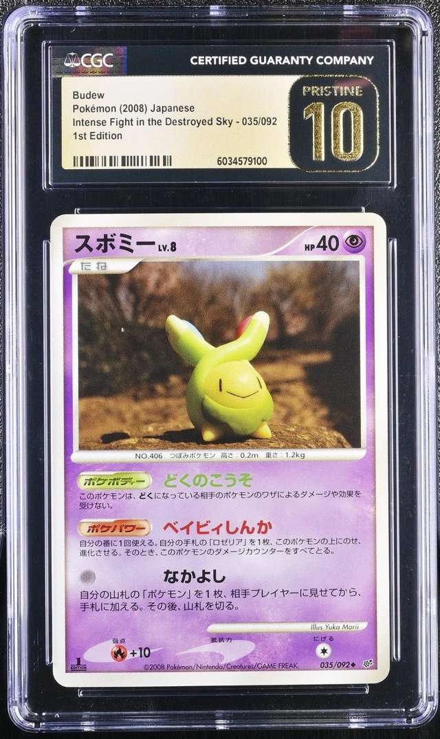 Budew