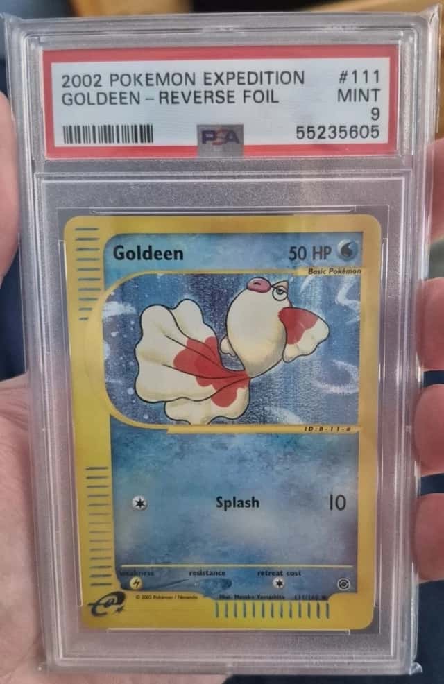 Goldeen