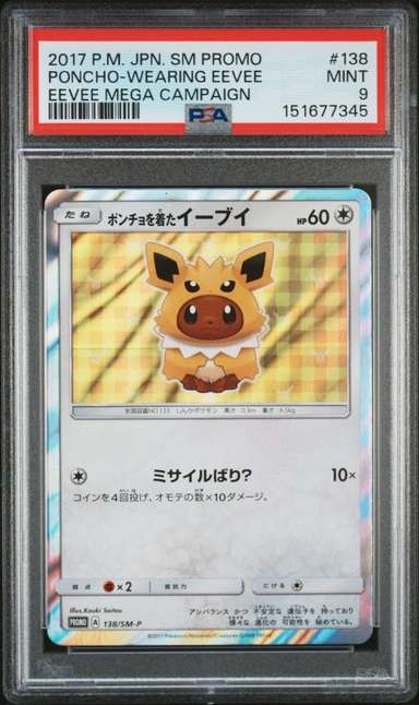 Poncho-wearing Eevee