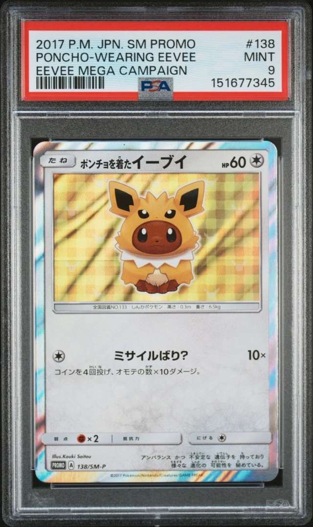 Poncho-wearing Eevee