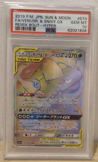 Venusaur & Snivy GX