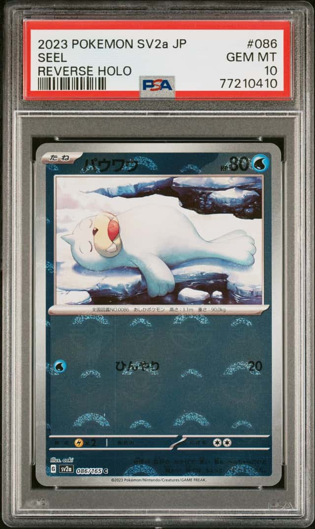 Seel