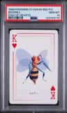 Beedrill