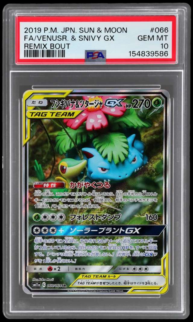 Venusaur & Snivy GX
