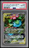 Venusaur & Snivy Gx
