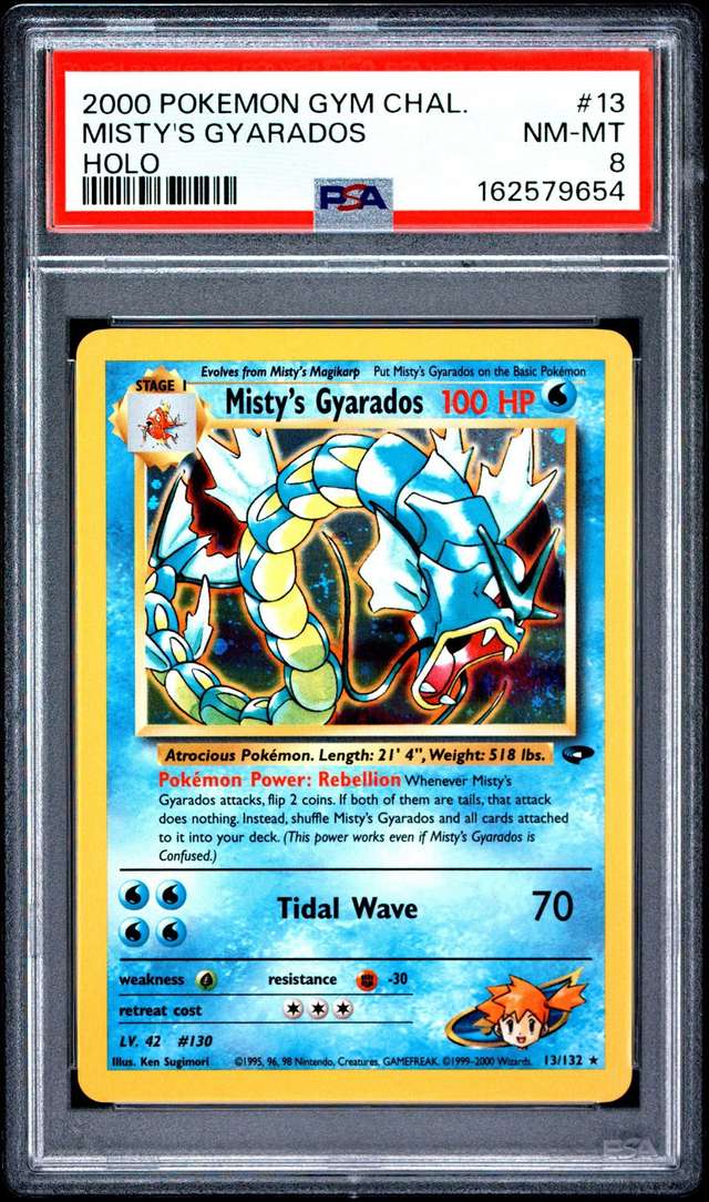 Misty's Gyarados