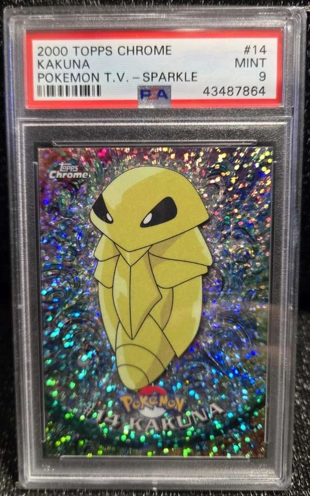 Kakuna