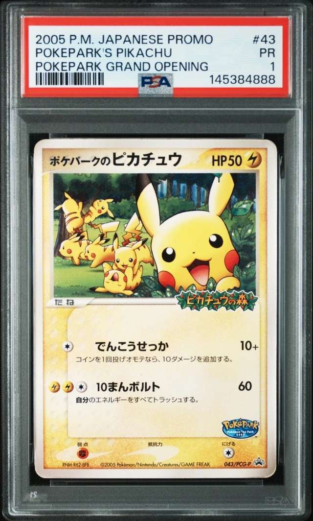 PokePark's Pikachu