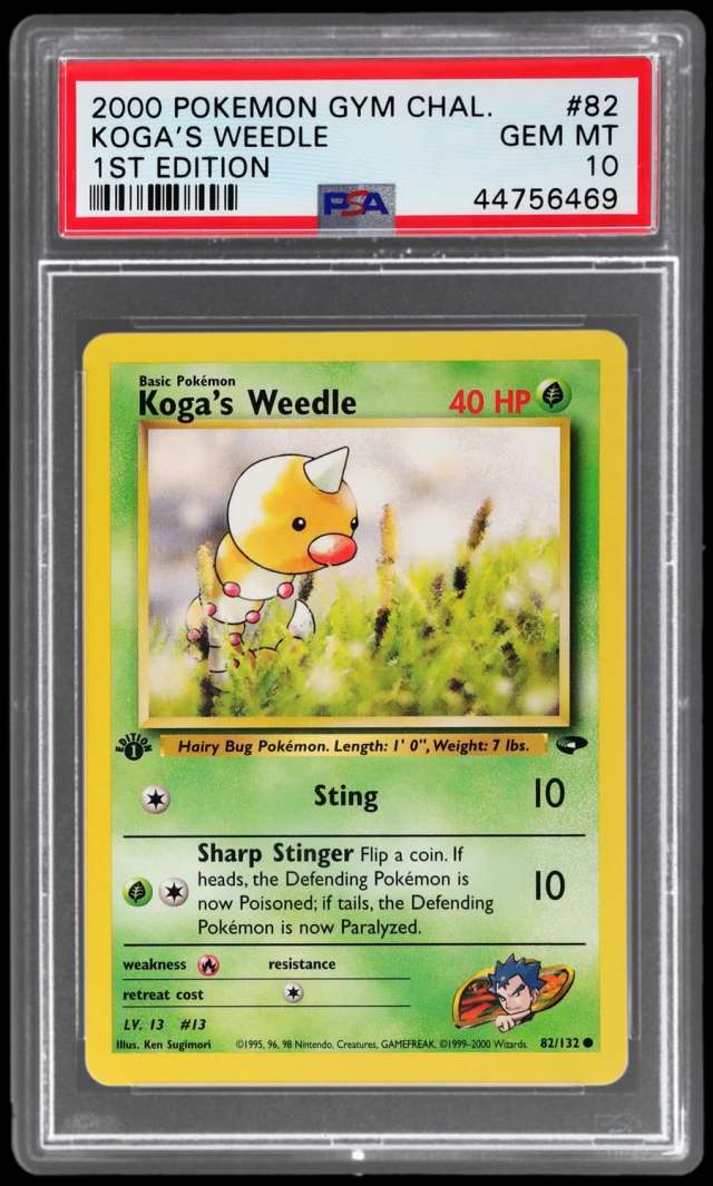 Koga's Weedle