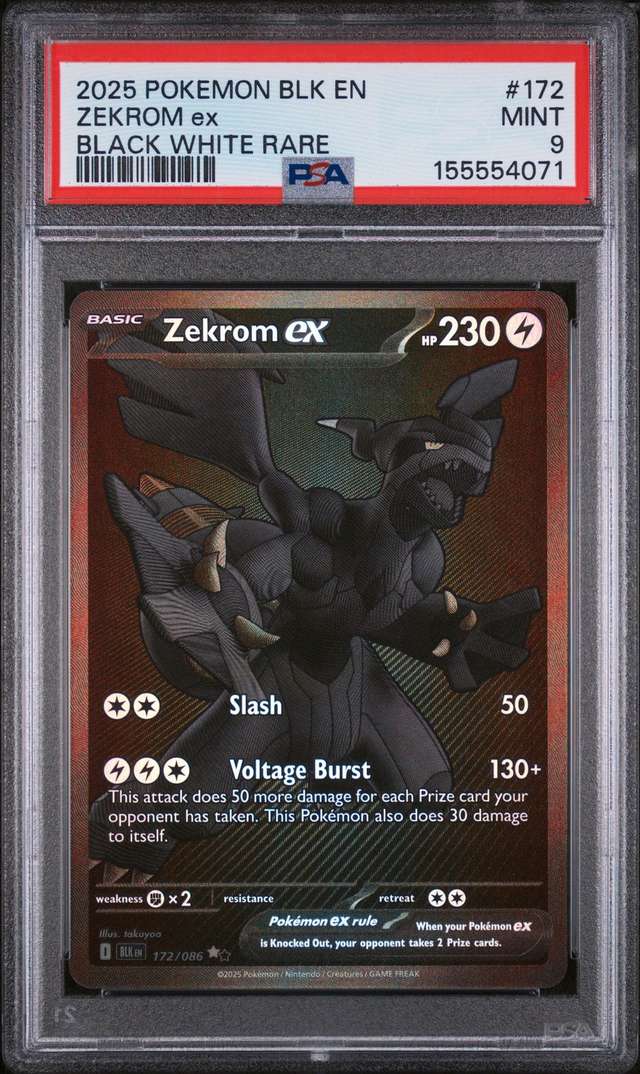 ZEKROM ex