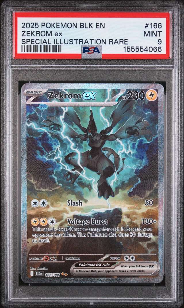 ZEKROM ex