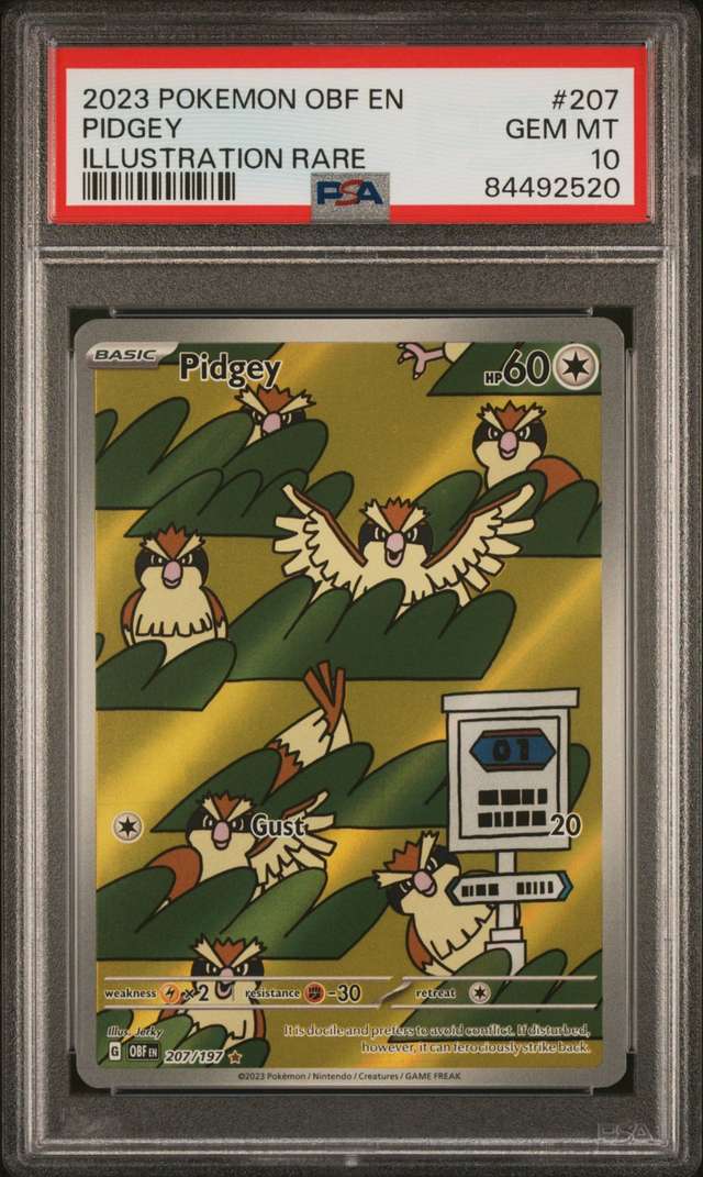 PIDGEY