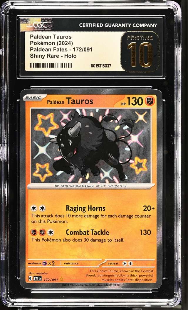 Paldean Tauros