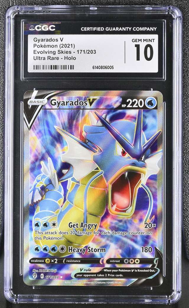 Gyarados V
