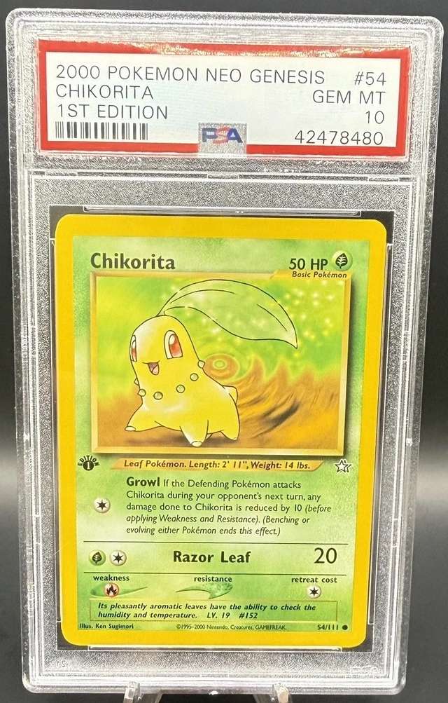 Chikorita