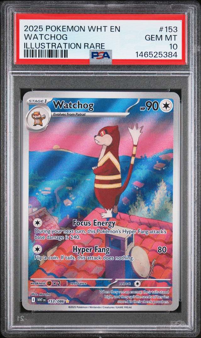 Watchog