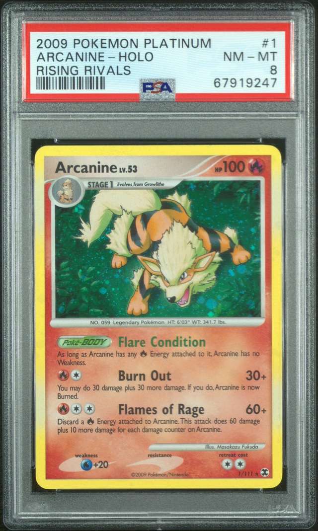ARCANINE