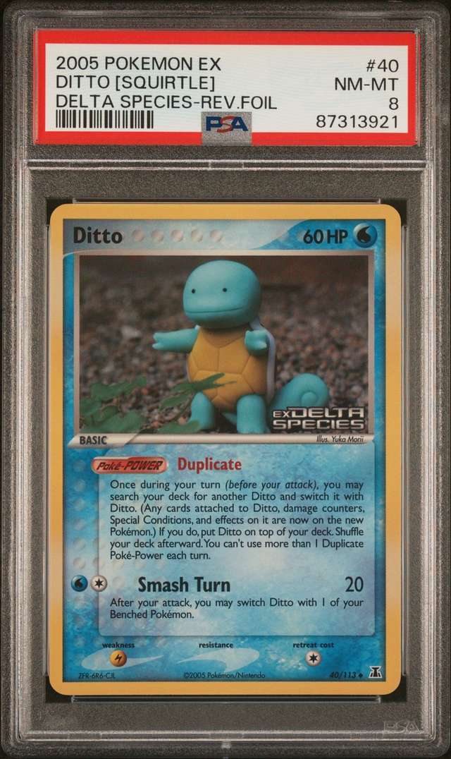 Ditto [Squirtle]