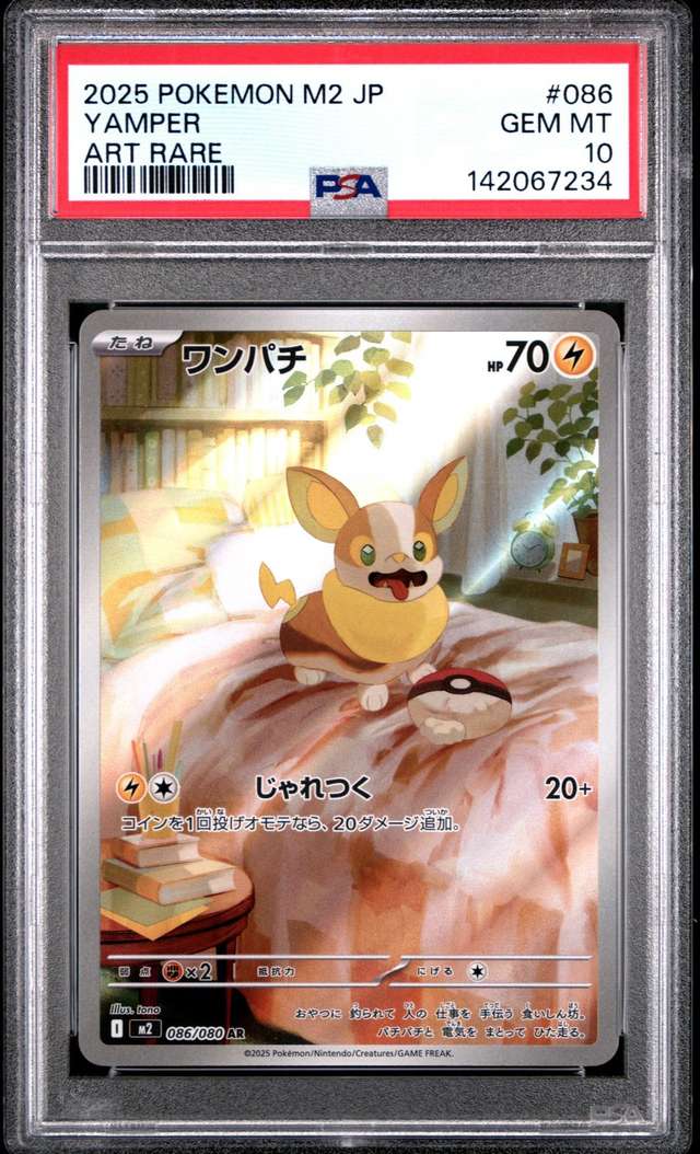Yamper
