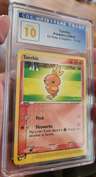 Torchic