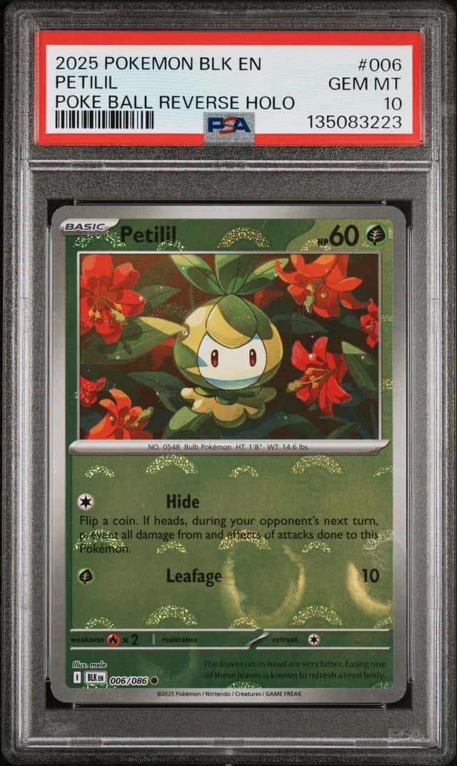 Petilil