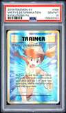Misty'S Determination