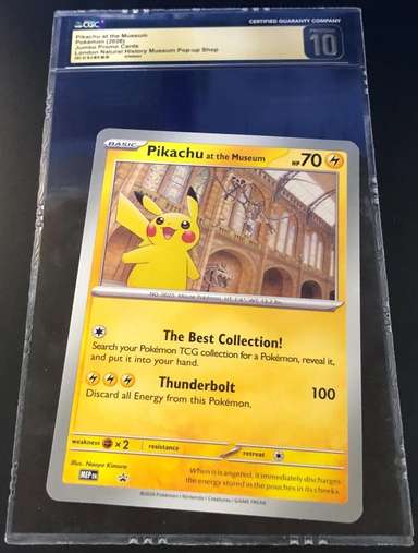 Pikachu At The Museum