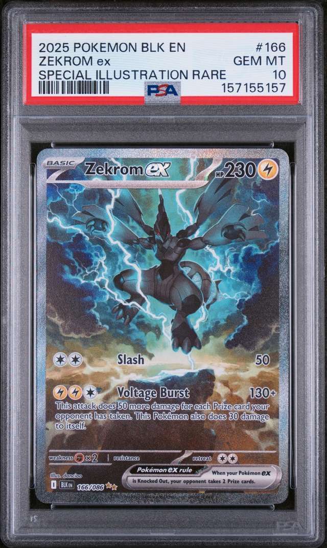 ZEKROM ex