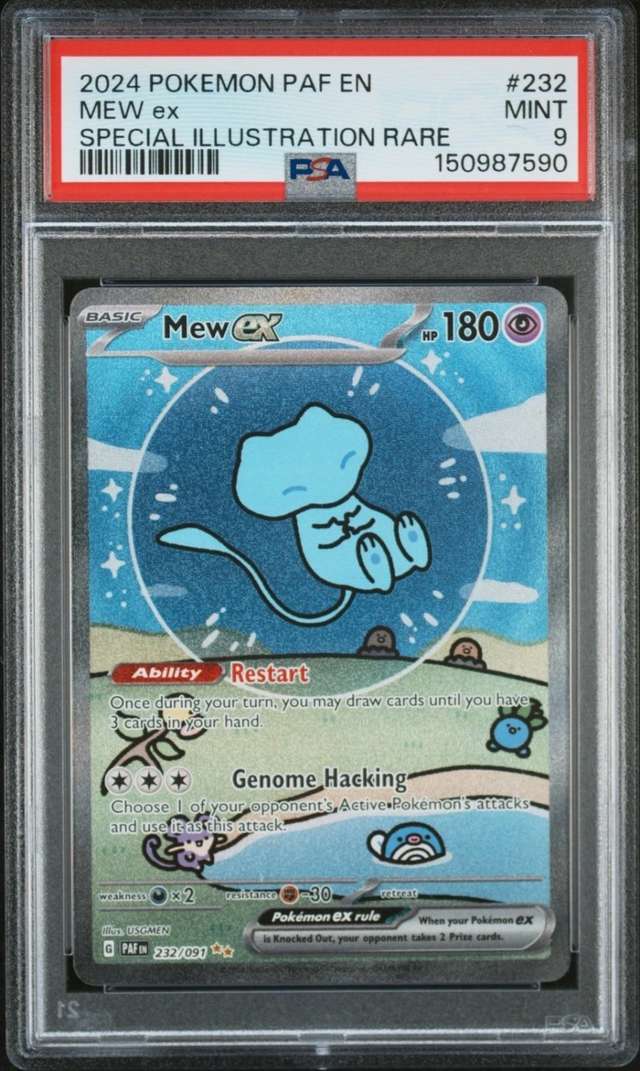 MEW ex