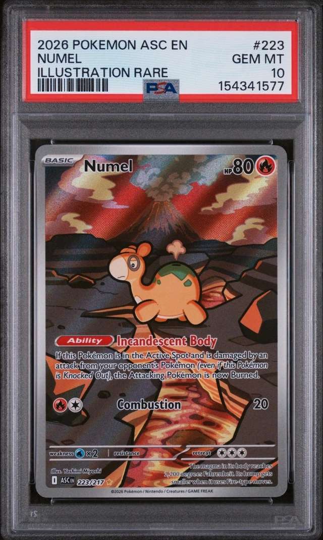 Numel