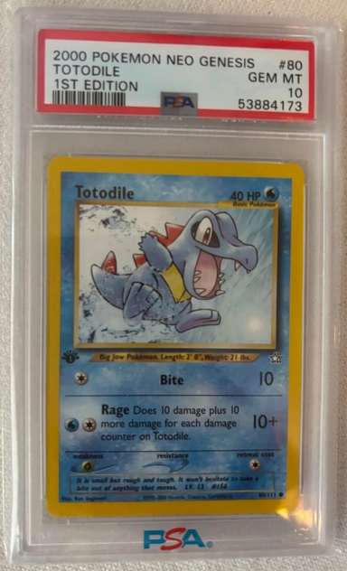 Totodile