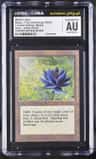 Black Lotus