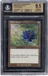 Black Lotus R